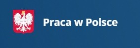 Zdjęcie artykułu Instrukcja korzystania z portalu Praca w Polsce